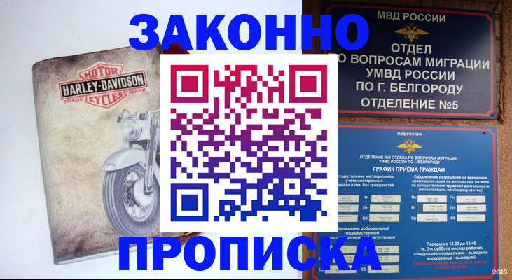 прописка для школы в Новосибирской области